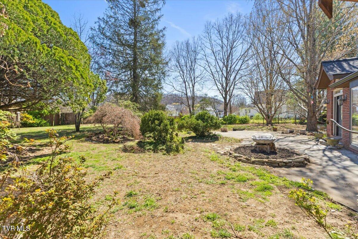 708 North Main Street Elizabethton, TN 37643 - Photo 13 of 97 013-128A8826