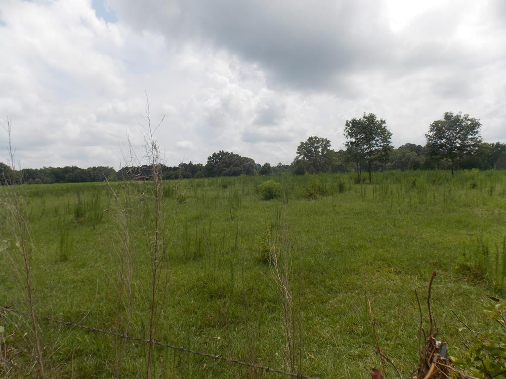 1400 Lincolnton Road Washington, GA 30673 - Photo 1 of 1 Main View