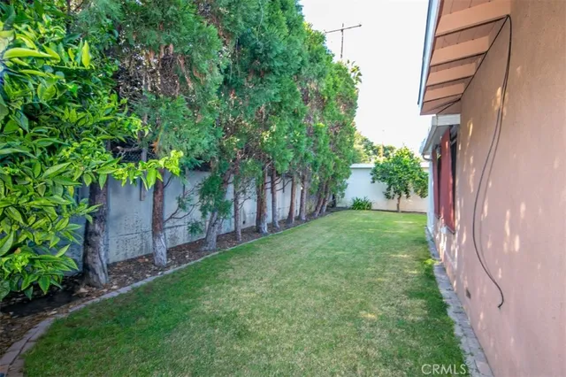 a view of a backyard with plants and large trees