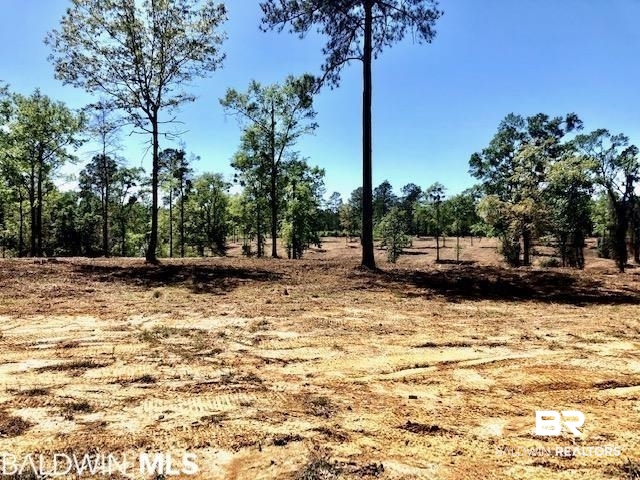 0 West 7th Street Bay Minette, AL 36507 - Photo 1 of 7