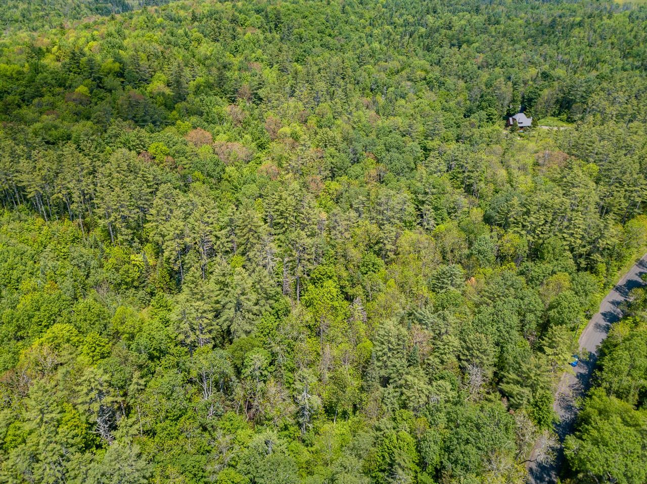0 Pettyboro Road Lyman, NH 03585 - Photo 8 of 14
