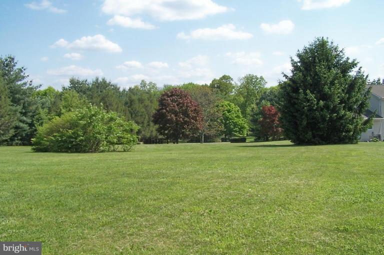17206 Hunter Green Road Upperco, MD 21155 - Photo 20 of 25 Back yard