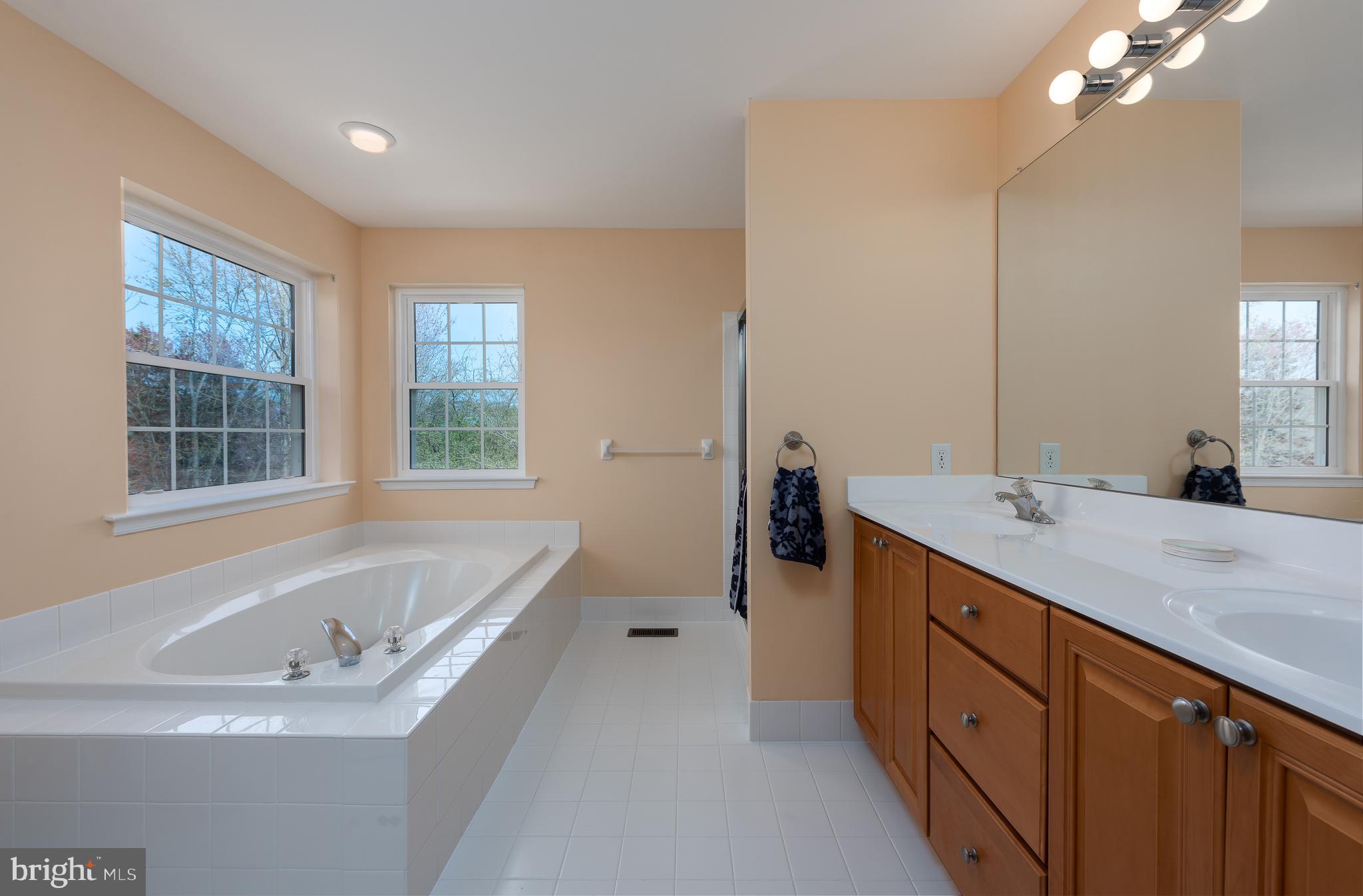 1207 South Rapps Dam Road Phoenixville, PA 19460 - Photo 28 of 33 Main Bath with Soaking Tub