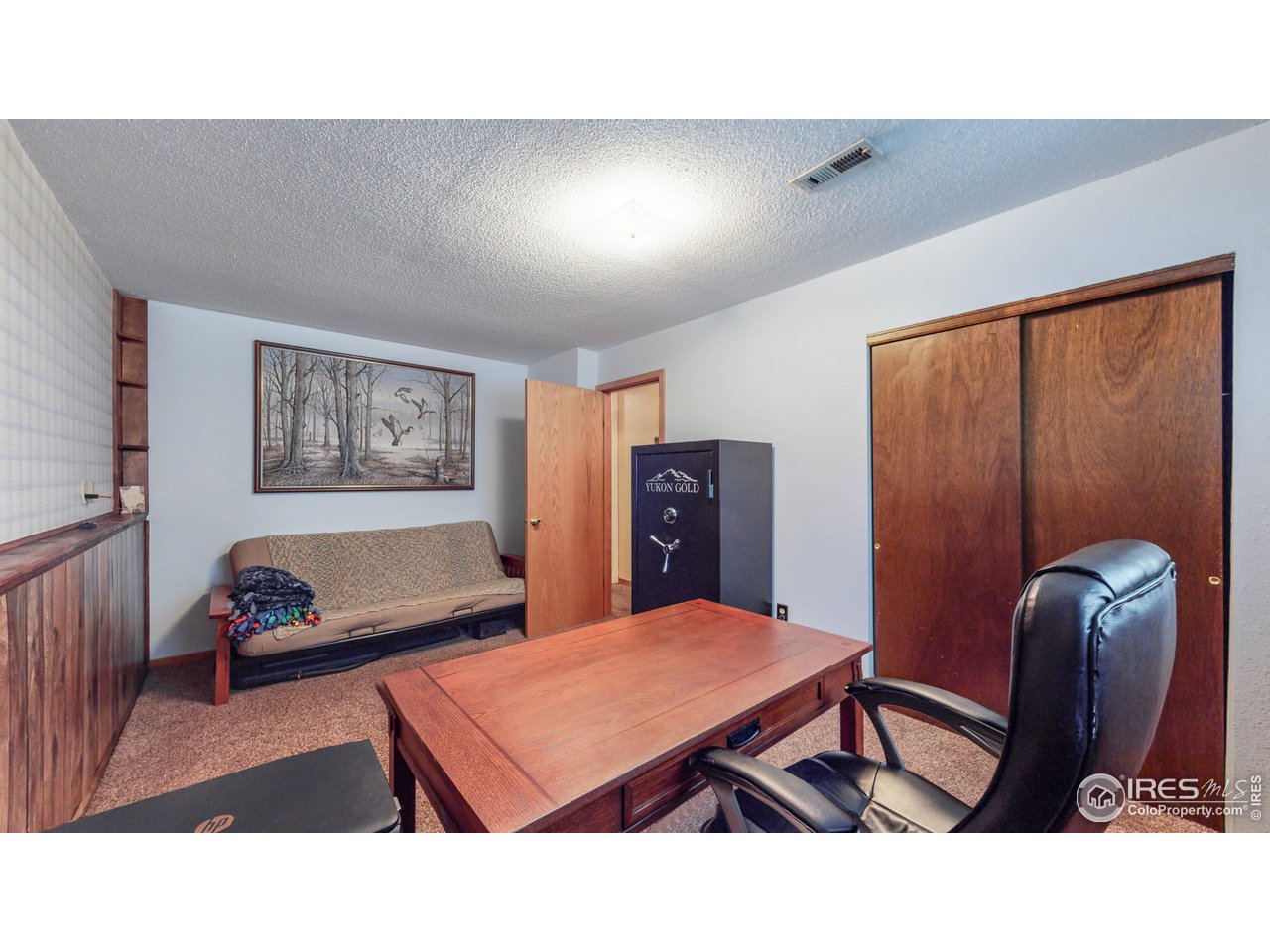 1554 Ervine Avenue Longmont, CO 80501 - Photo 22 of 31 a living room with furniture a rug and wall paintings