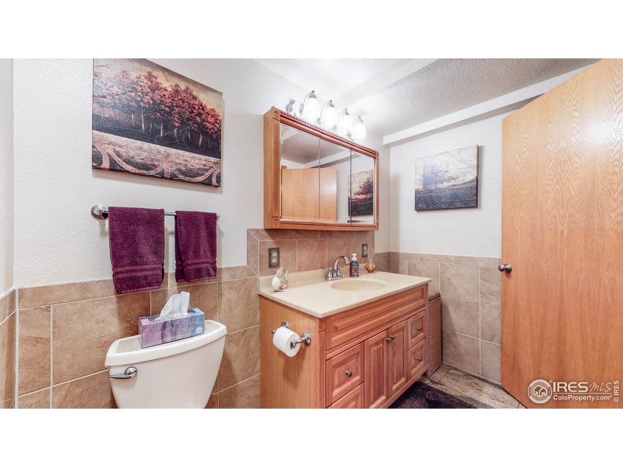 1554 Ervine Avenue Longmont, CO 80501 - Photo 23 of 31 a bathroom with a sink a mirror and a toilet