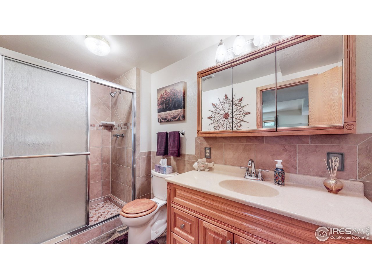 1554 Ervine Avenue Longmont, CO 80501 - Photo 24 of 31 a bathroom with a sink a toilet and a shower