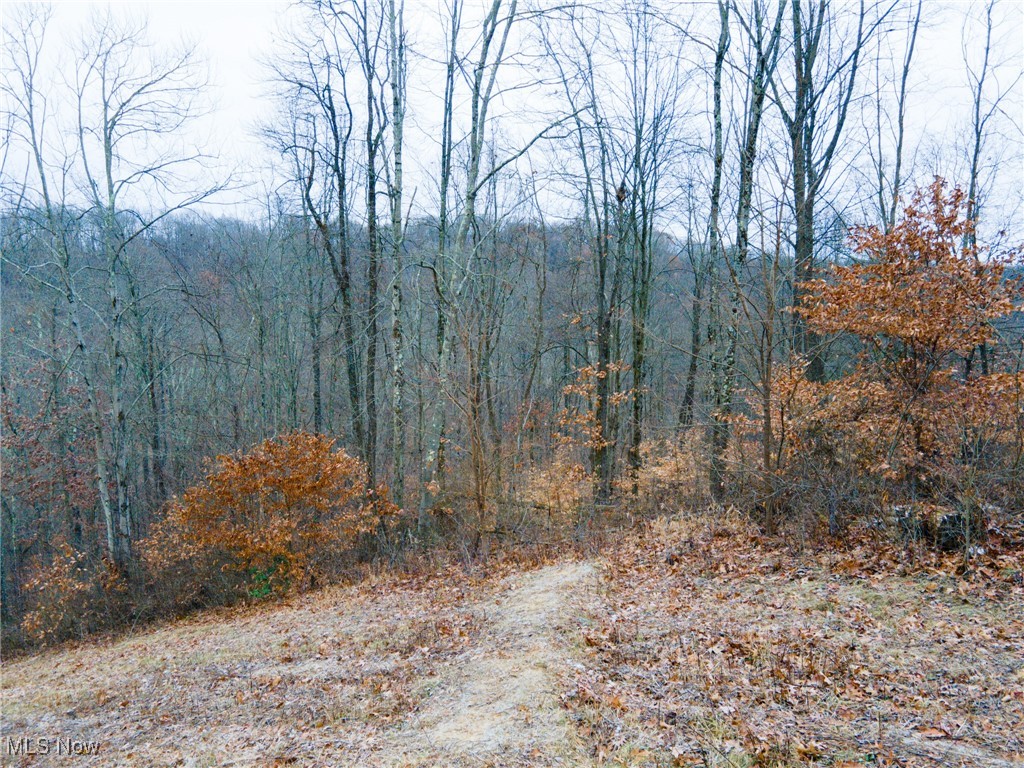6500 Kings Ridge Road Newcomerstown, OH 43832 - Photo 19 of 46 Gallery Image 19