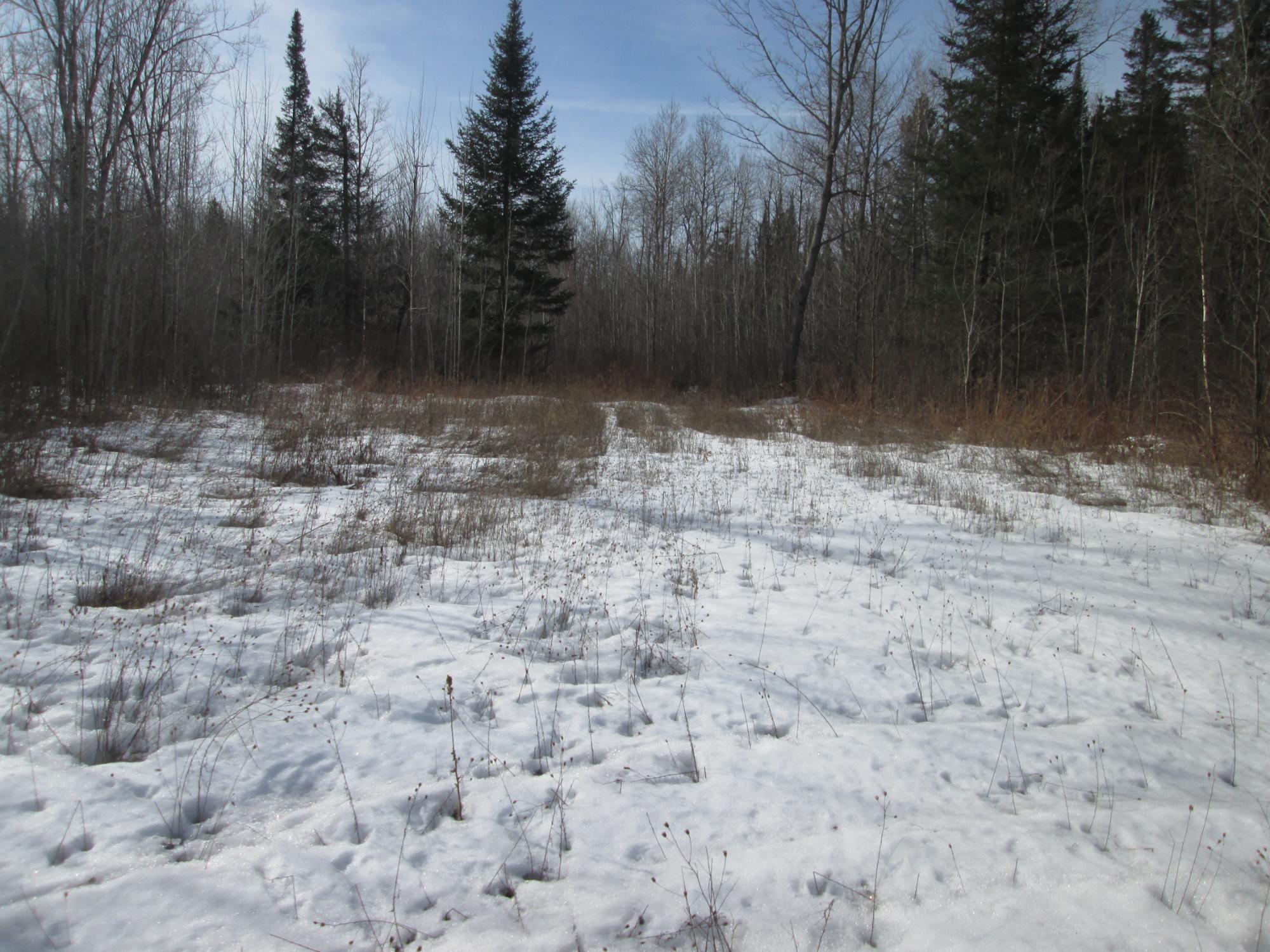 0 Star Lake Road Crandon, WI 54520 - Photo 1 of 6 Gallery Image 1