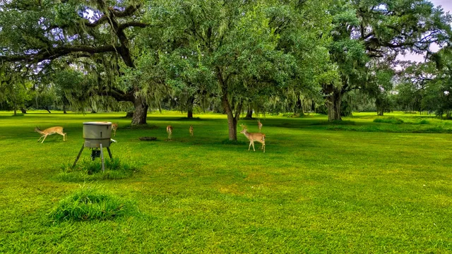 a view of an house with a park