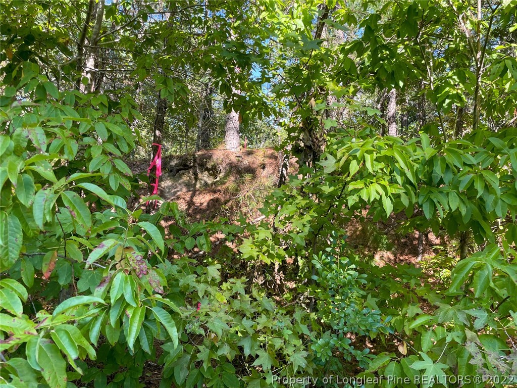 Mcgill Road Vass, NC 28394 - Photo 24 of 29 a backyard of a house with lots of green space