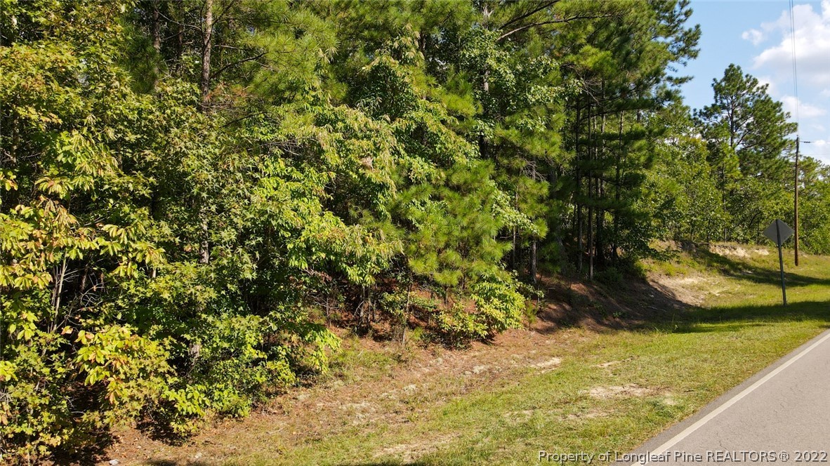 Mcgill Road Vass, NC 28394 - Photo 27 of 29 a view of a yard with a tree