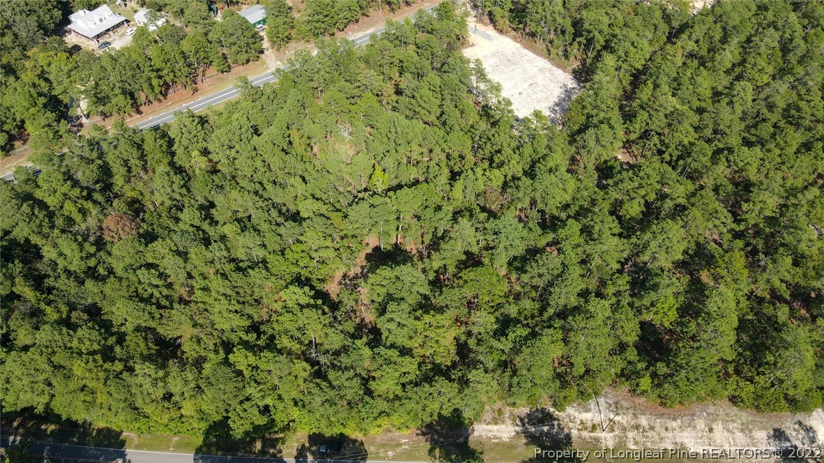 Mcgill Road Vass, NC 28394 - Photo 5 of 29 a view of a big yard with plants and large trees
