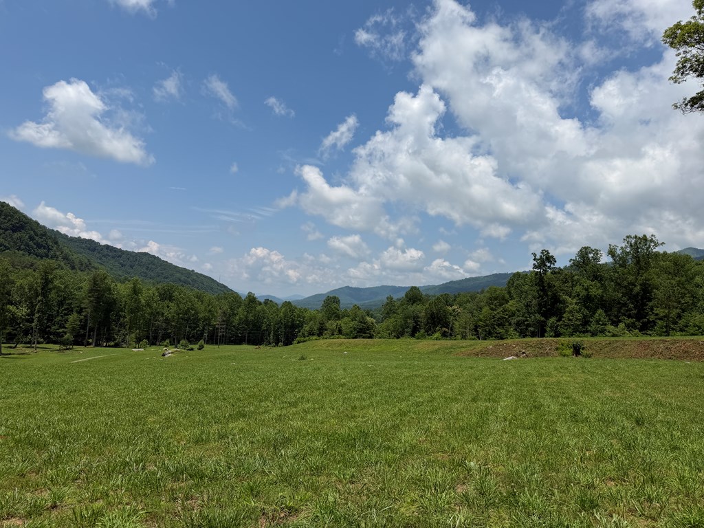 1446 Muskrat Creek Road Hayesville, NC 28904 - Photo 15 of 108