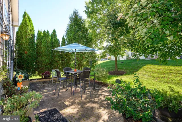 a view of a garden with plants and an umbrella