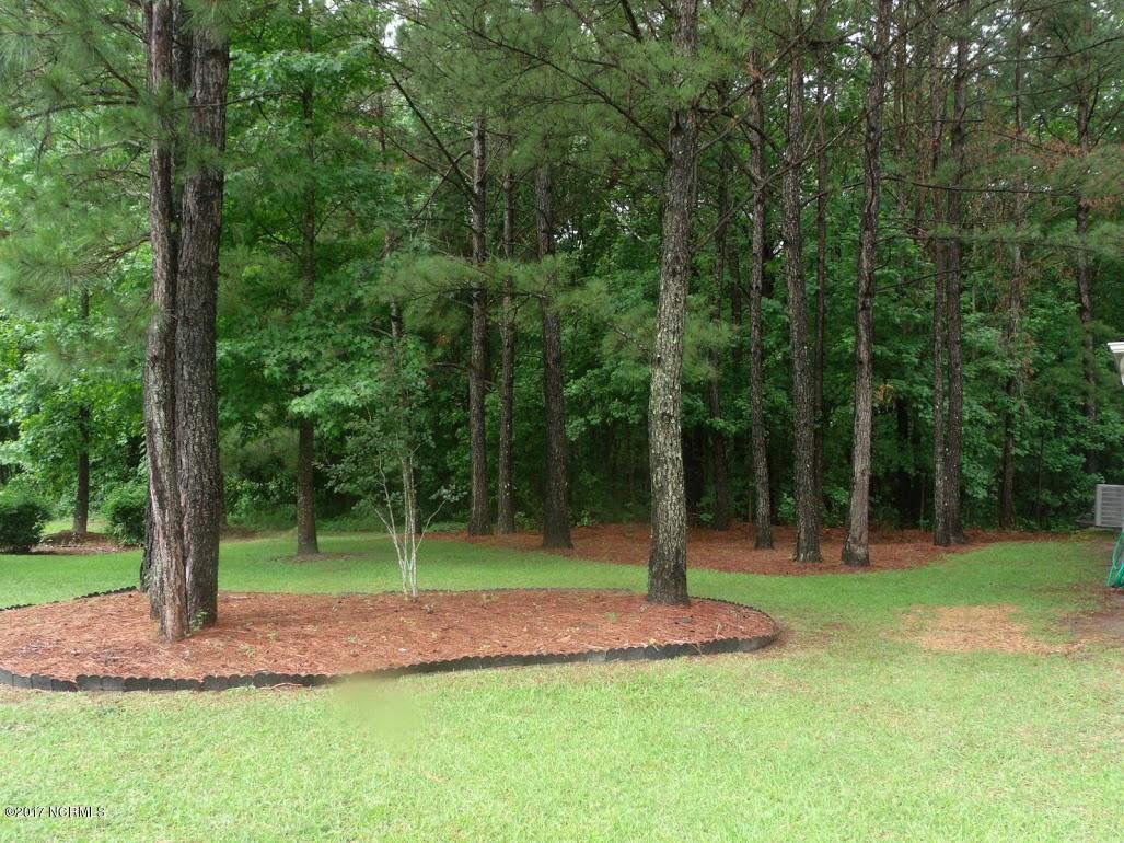 9113 Arden Road Northeast Leland, NC 28451 - Photo 22 of 22 GEDC7300