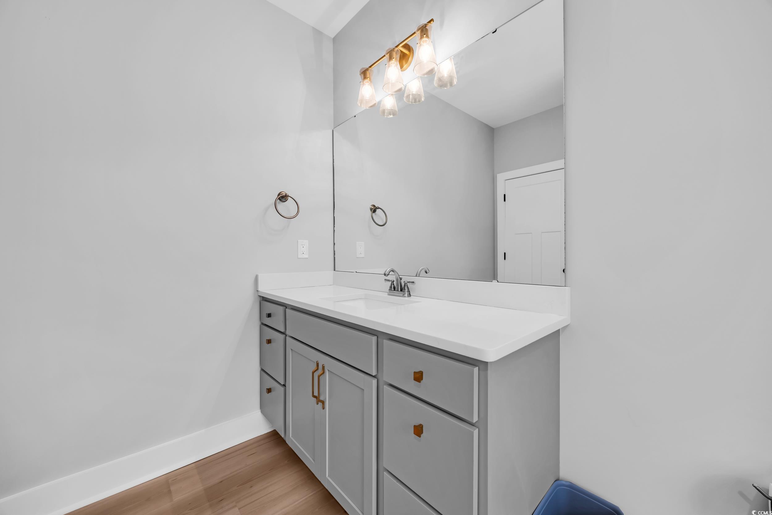 1121 Grimes Street Georgetown, SC 29440 - Photo 24 of 27 Empty room featuring a tray ceiling, light wood-type flooring, and recessed lighting