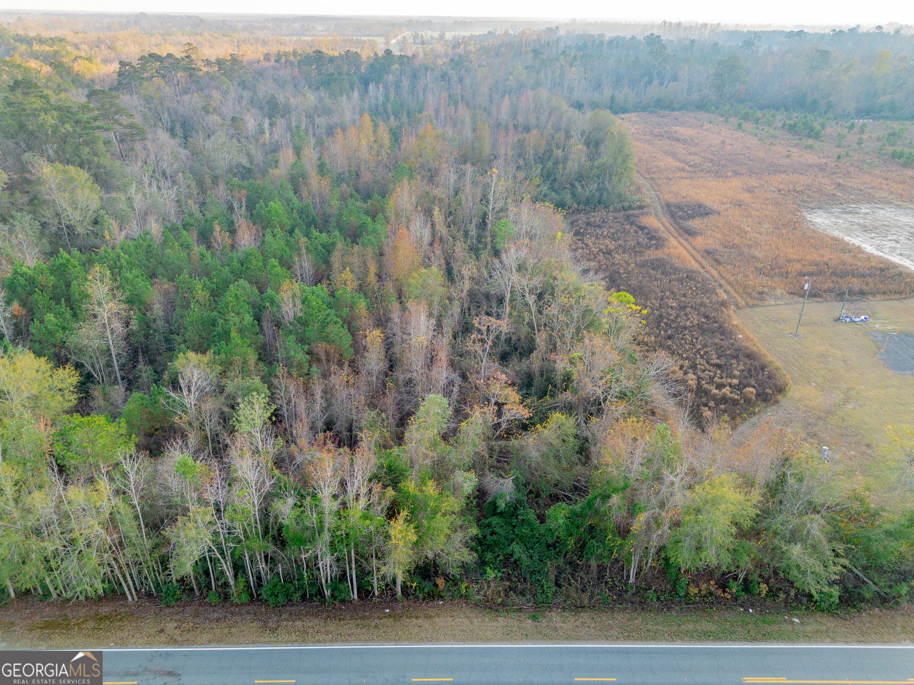 26-acres Telmore Dixie Union Road Waycross, GA 31503 - Photo 12 of 15