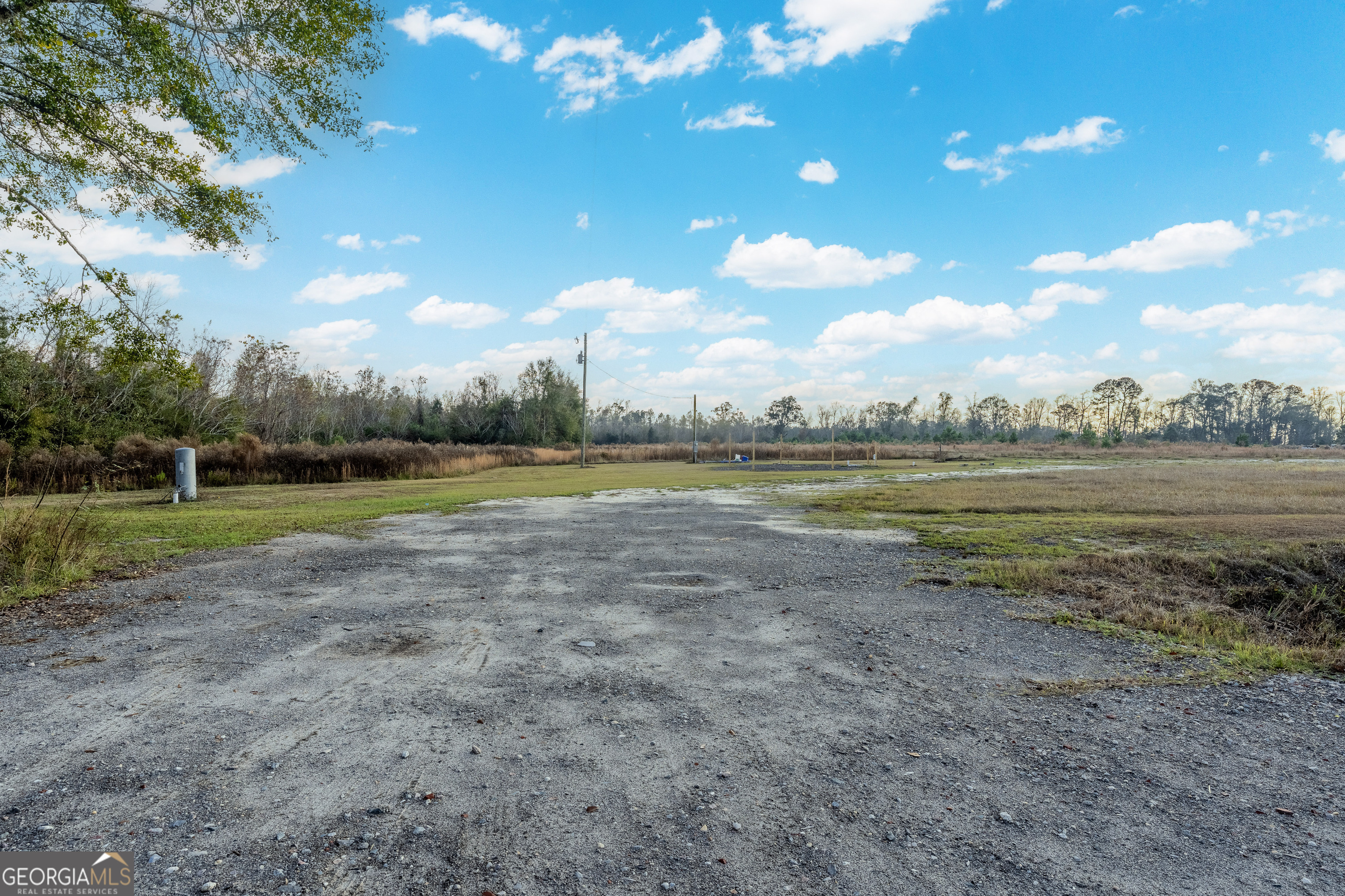 26-acres Telmore Dixie Union Road Waycross, GA 31503 - Photo 13 of 15