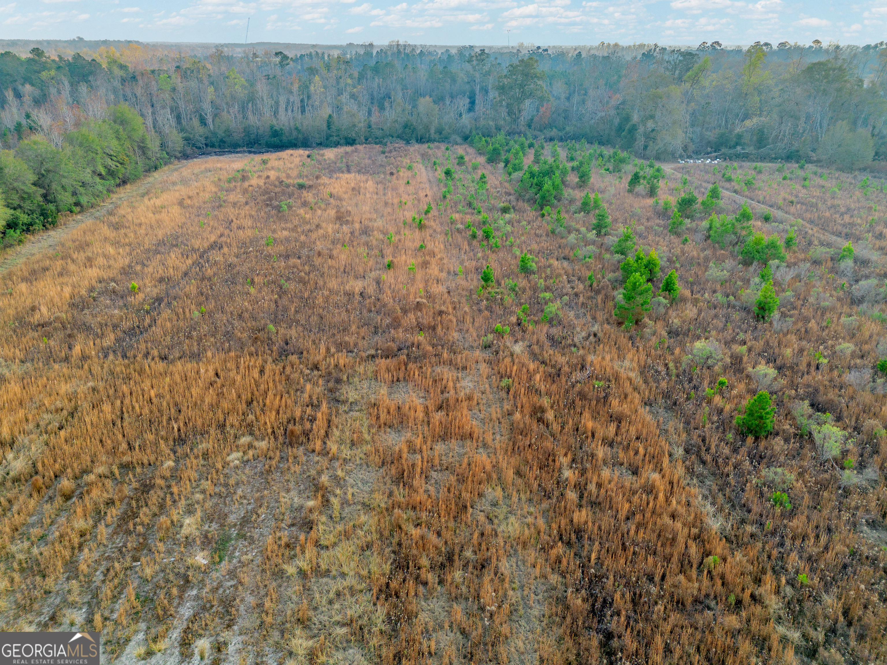 26-acres Telmore Dixie Union Road Waycross, GA 31503 - Photo 14 of 15