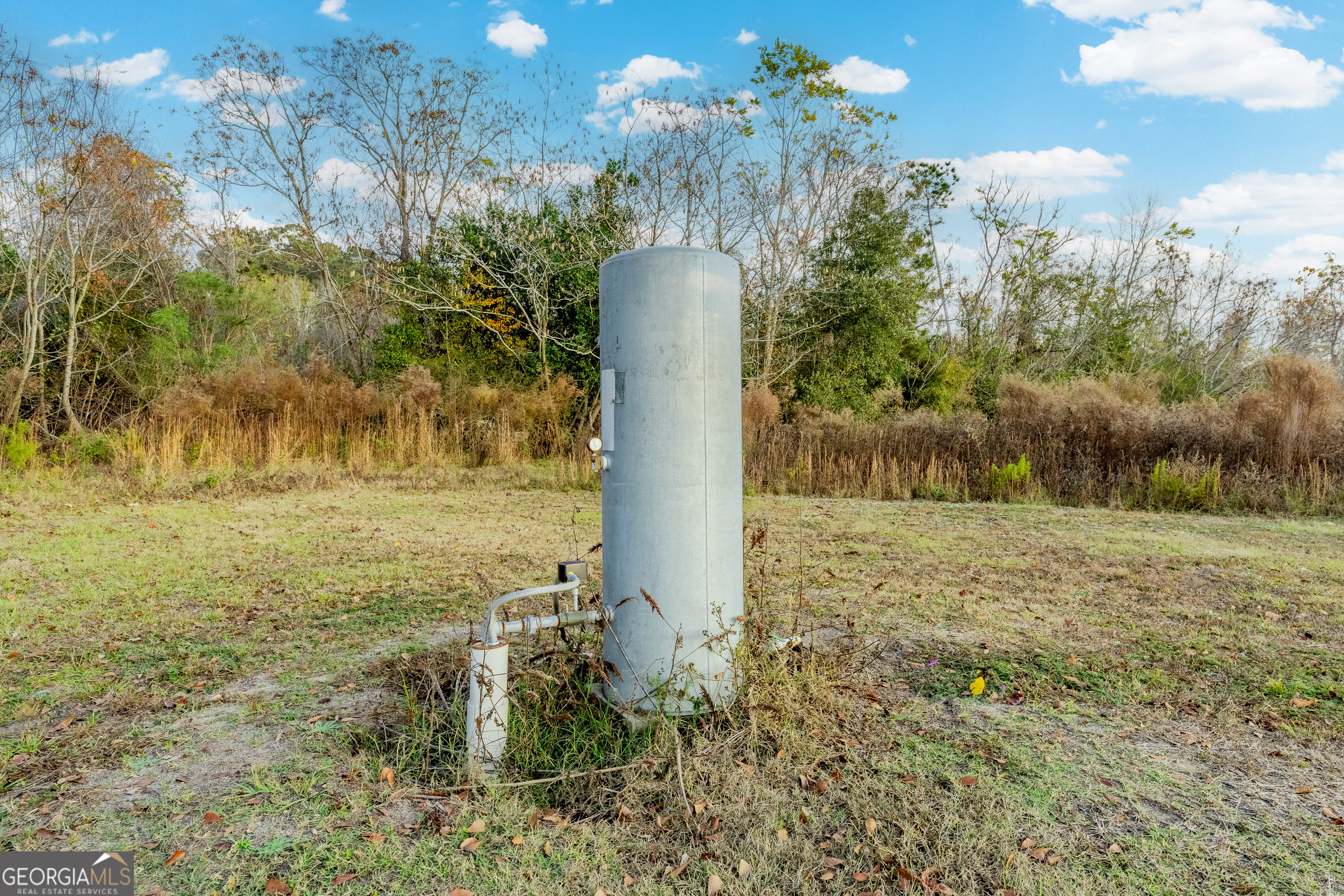 26-acres Telmore Dixie Union Road Waycross, GA 31503 - Photo 7 of 15