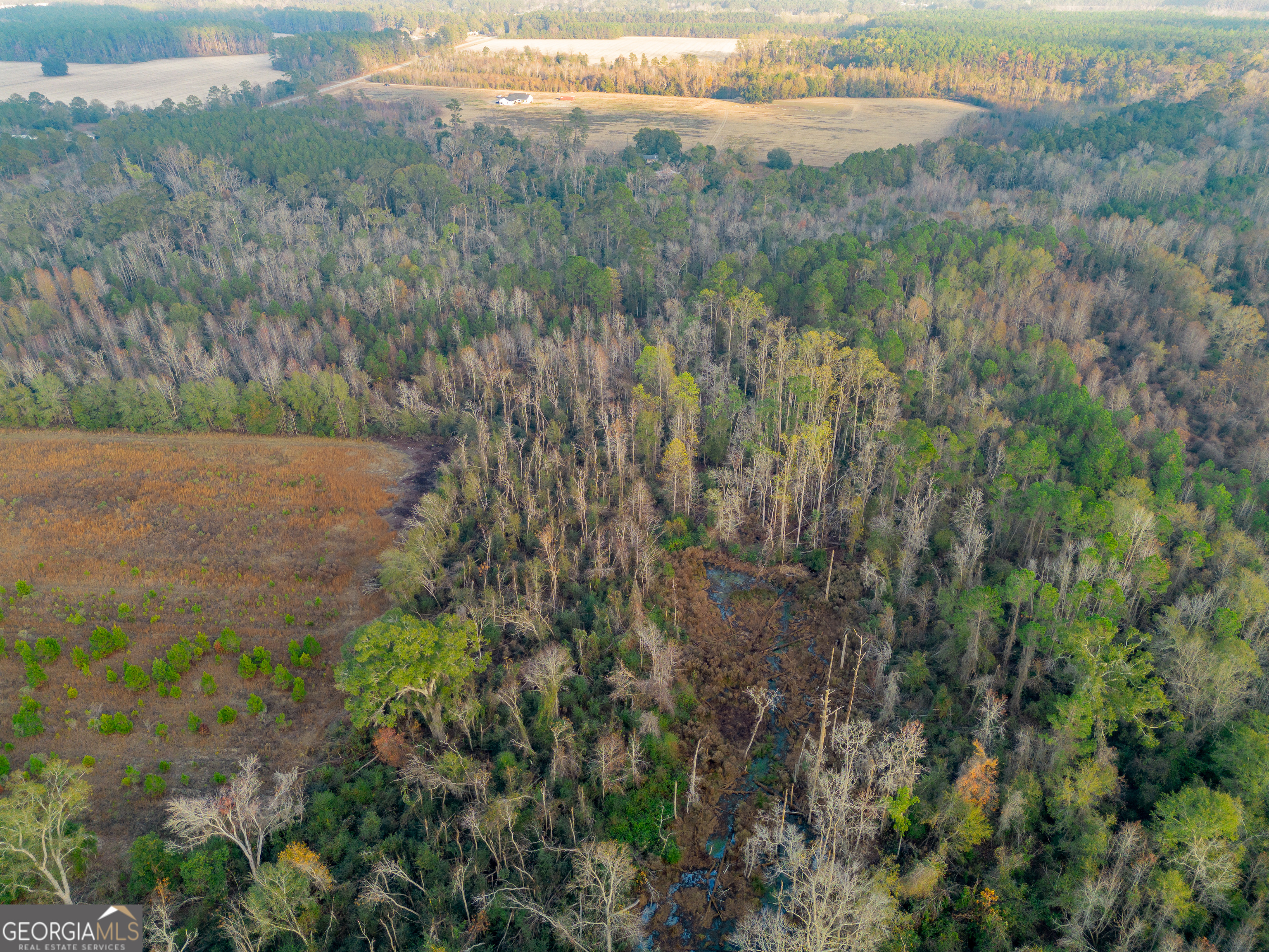 26-acres Telmore Dixie Union Road Waycross, GA 31503 - Photo 9 of 15