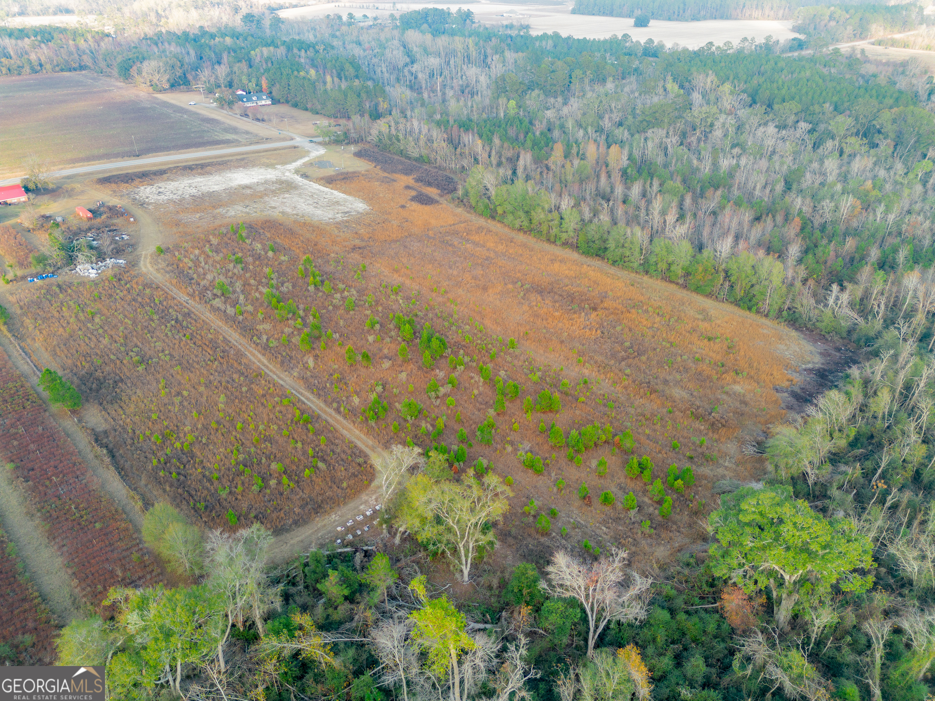 26-acres Telmore Dixie Union Road Waycross, GA 31503 - Photo 10 of 15