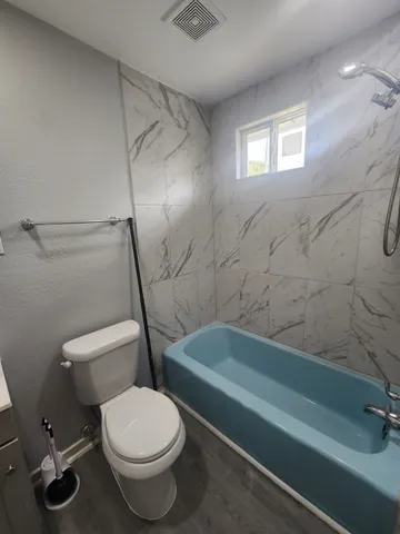 a bathroom with a toilet and a bathtub