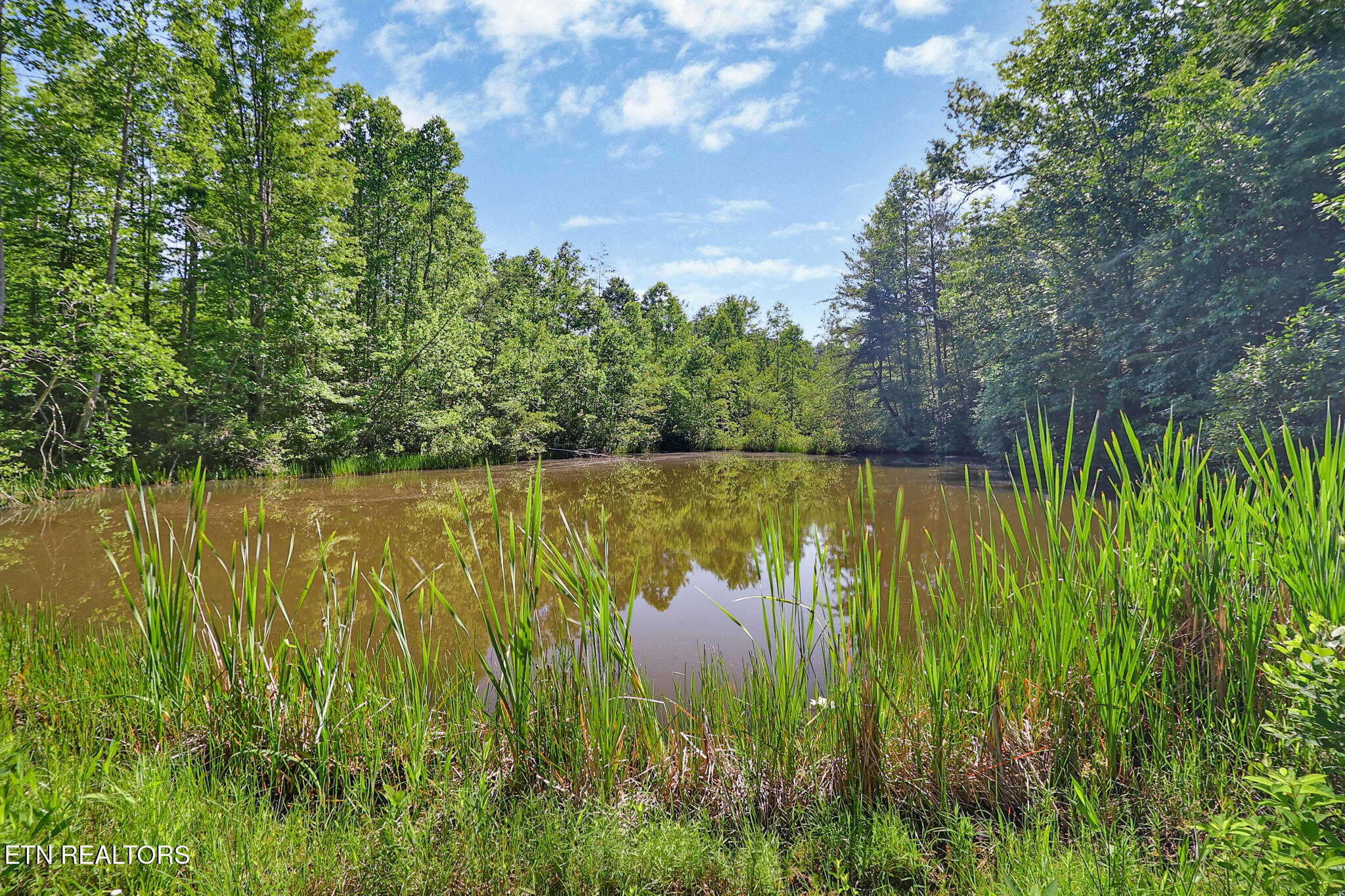 101 Duncan Hinds Road Jamestown, TN 38556 - Photo 37 of 59 Pond 5