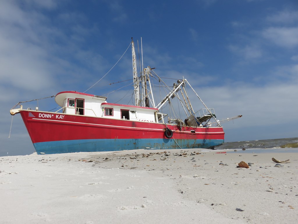 38 Shallow Reed Drive Port St. Joe, FL 32456 - Photo 12 of 14