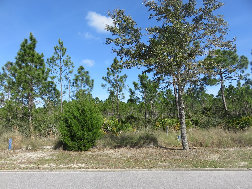 38 Shallow Reed Drive Port St. Joe, FL 32456 - Photo 3 of 14