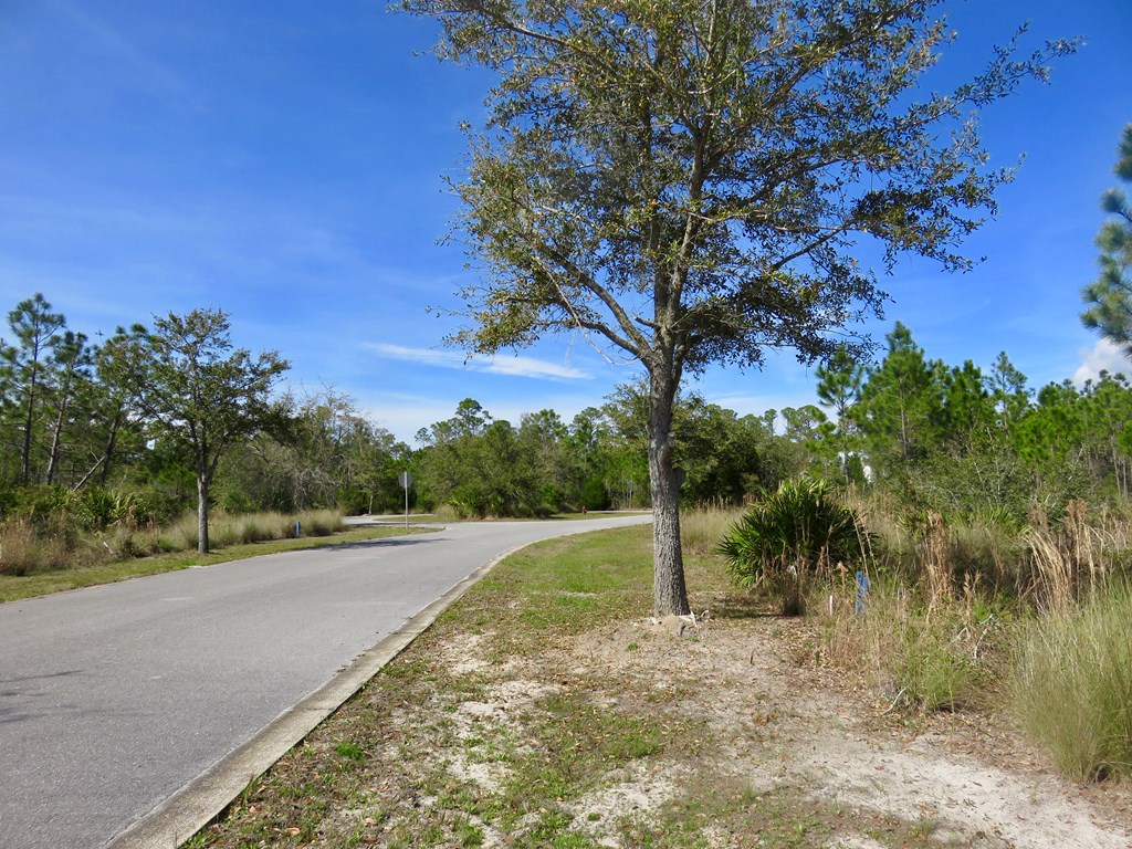 38 Shallow Reed Drive Port St. Joe, FL 32456 - Photo 5 of 14