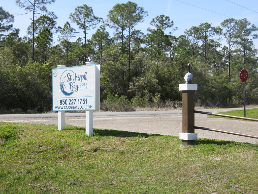 38 Shallow Reed Drive Port St. Joe, FL 32456 - Photo 6 of 14