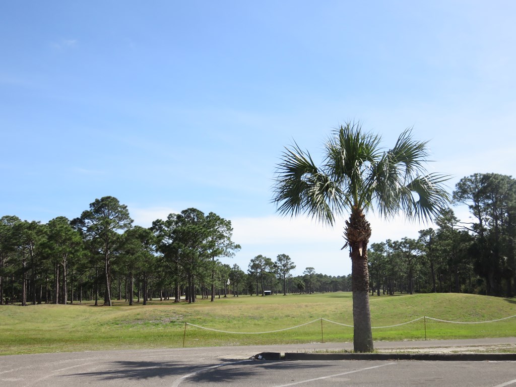 38 Shallow Reed Drive Port St. Joe, FL 32456 - Photo 7 of 14