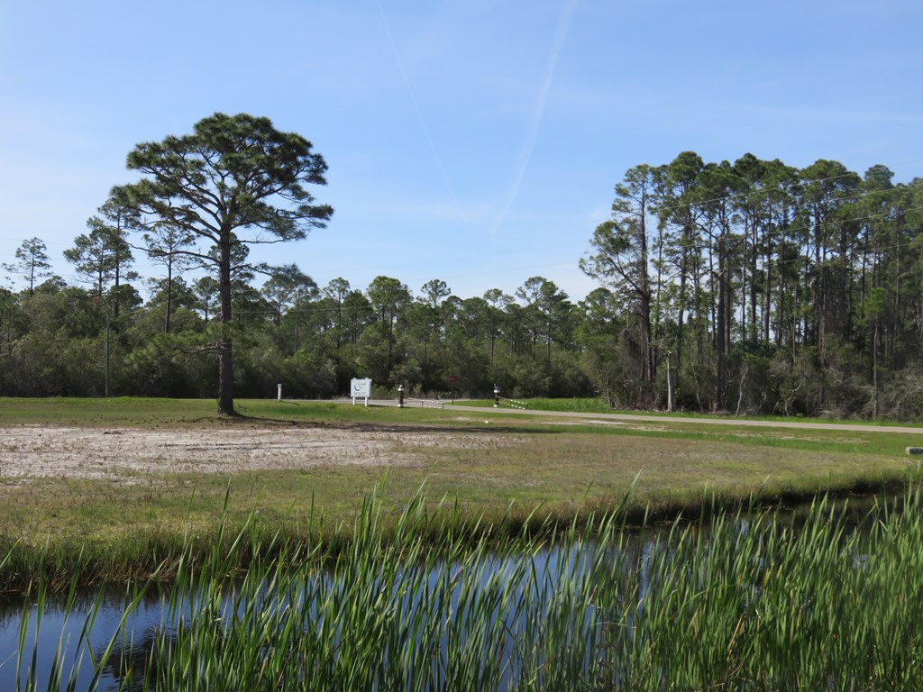 38 Shallow Reed Drive Port St. Joe, FL 32456 - Photo 8 of 14