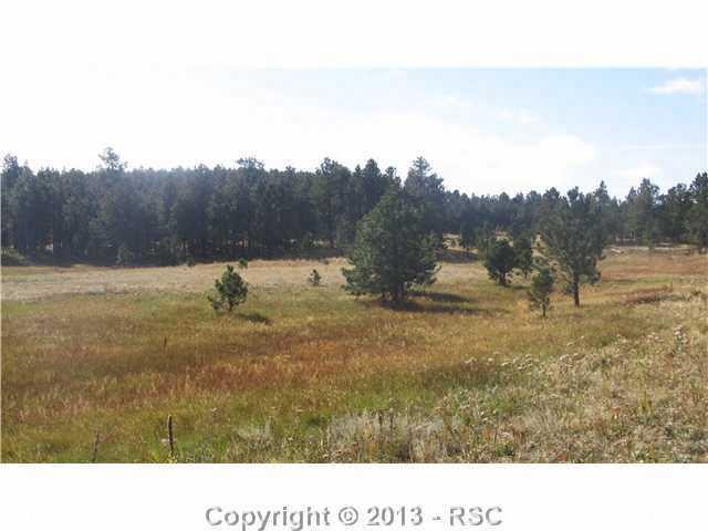 11225 Walker Road Colorado Springs, CO 80908 - Photo 9 of 25 Gallery Image 9