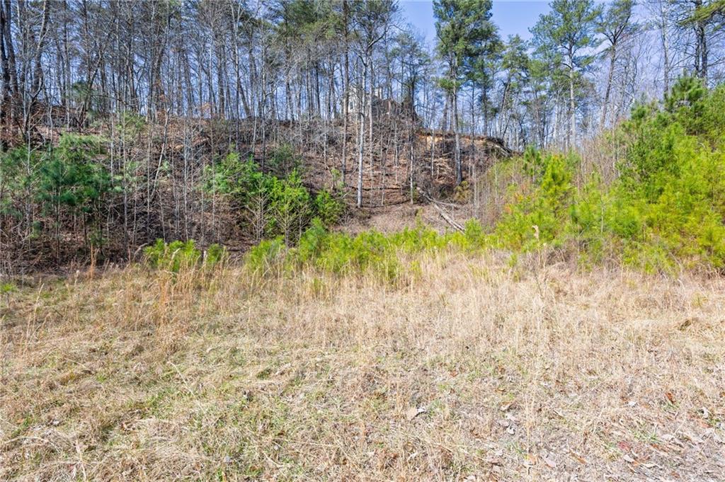 53 Somerset Lane Cartersville, GA 30121 - Photo 3 of 11