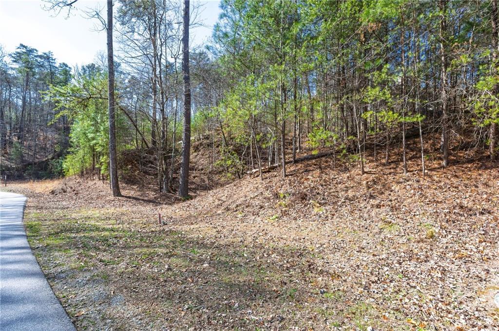 53 Somerset Lane Cartersville, GA 30121 - Photo 4 of 11