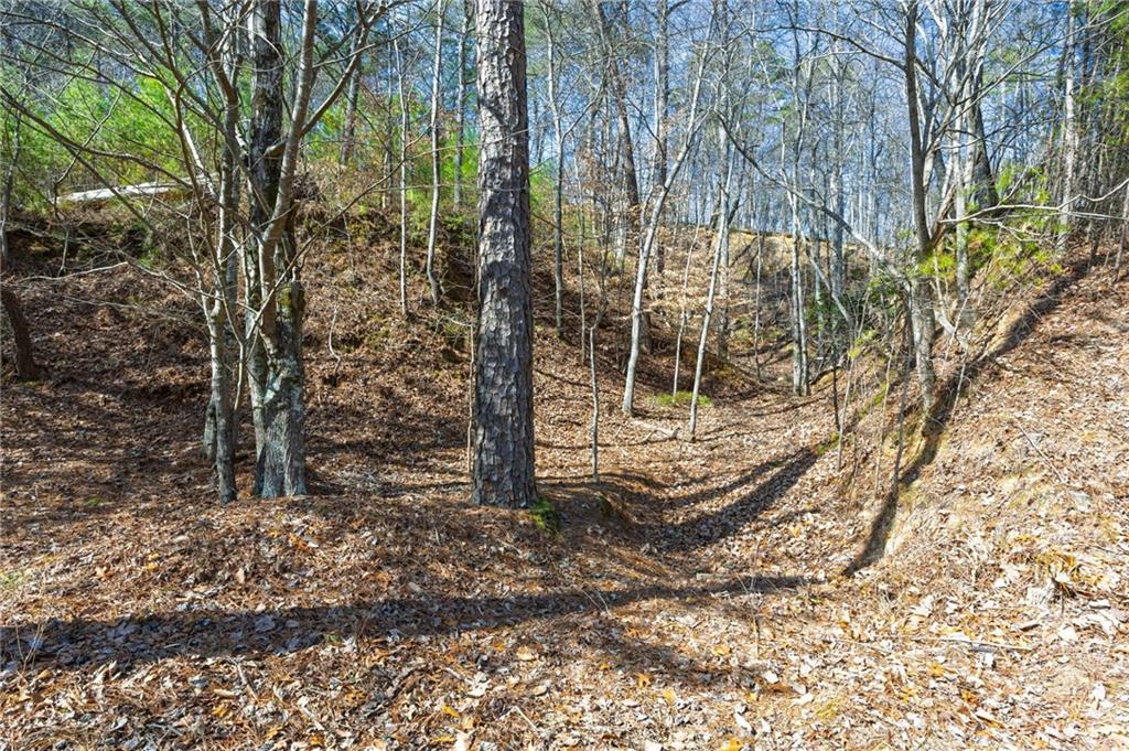 53 Somerset Lane Cartersville, GA 30121 - Photo 5 of 11