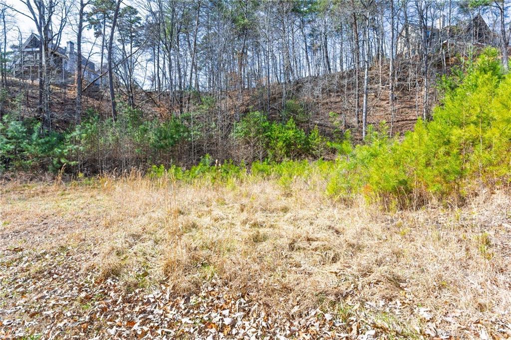 53 Somerset Lane Cartersville, GA 30121 - Photo 6 of 11