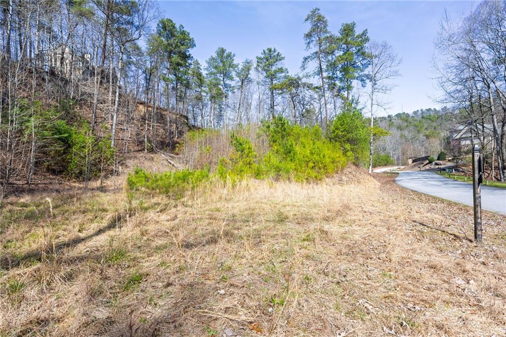 53 Somerset Lane Cartersville, GA 30121 - Photo 7 of 11