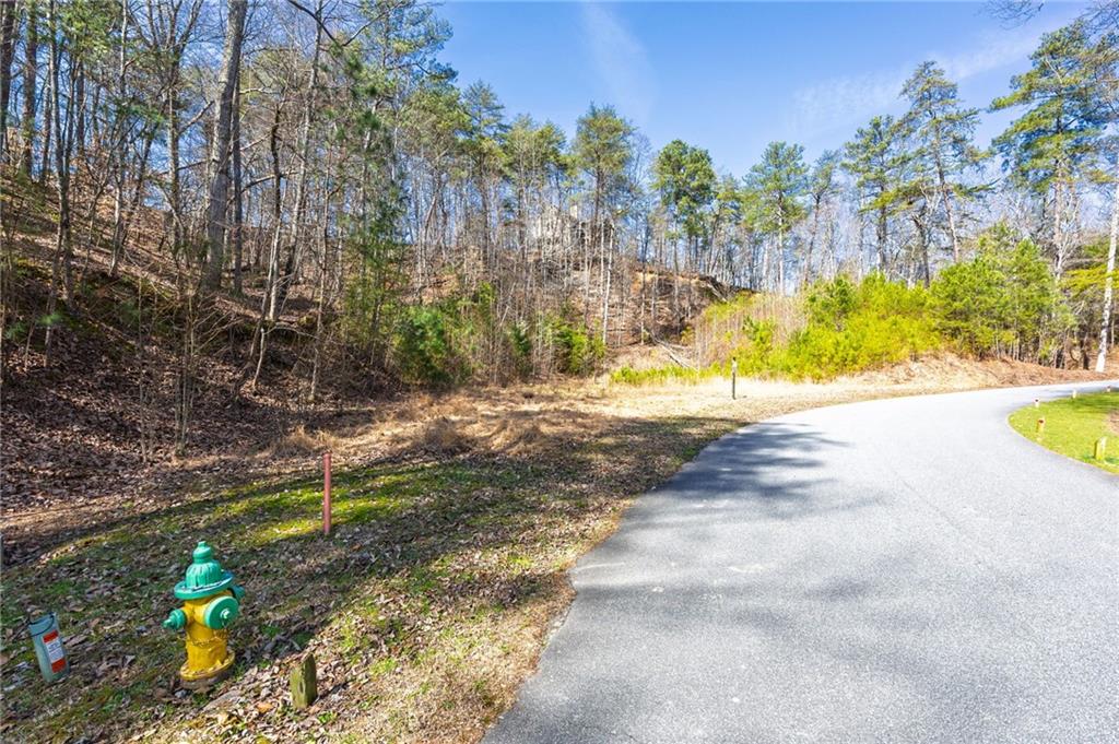 53 Somerset Lane Cartersville, GA 30121 - Photo 8 of 11