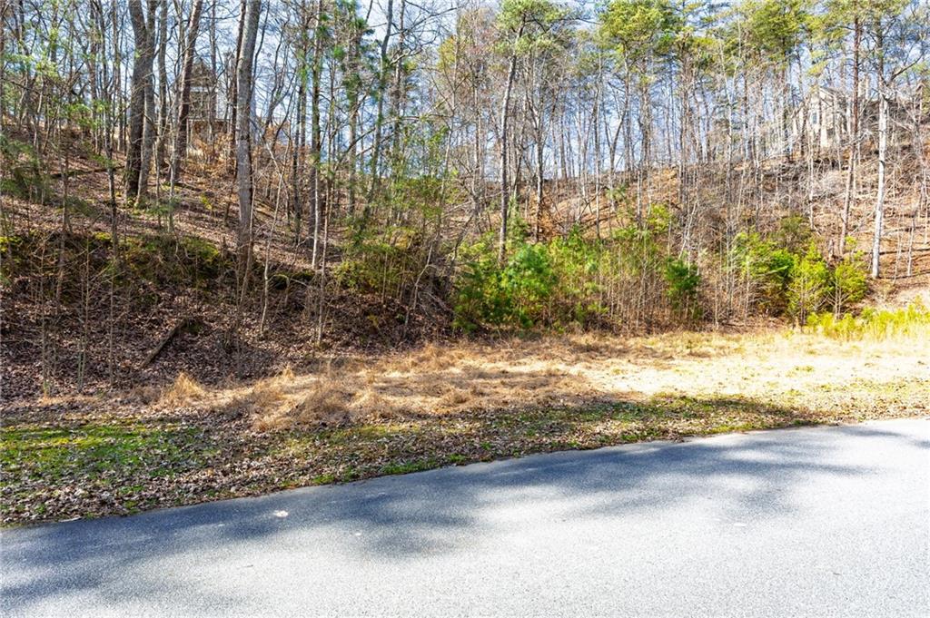 53 Somerset Lane Cartersville, GA 30121 - Photo 9 of 11
