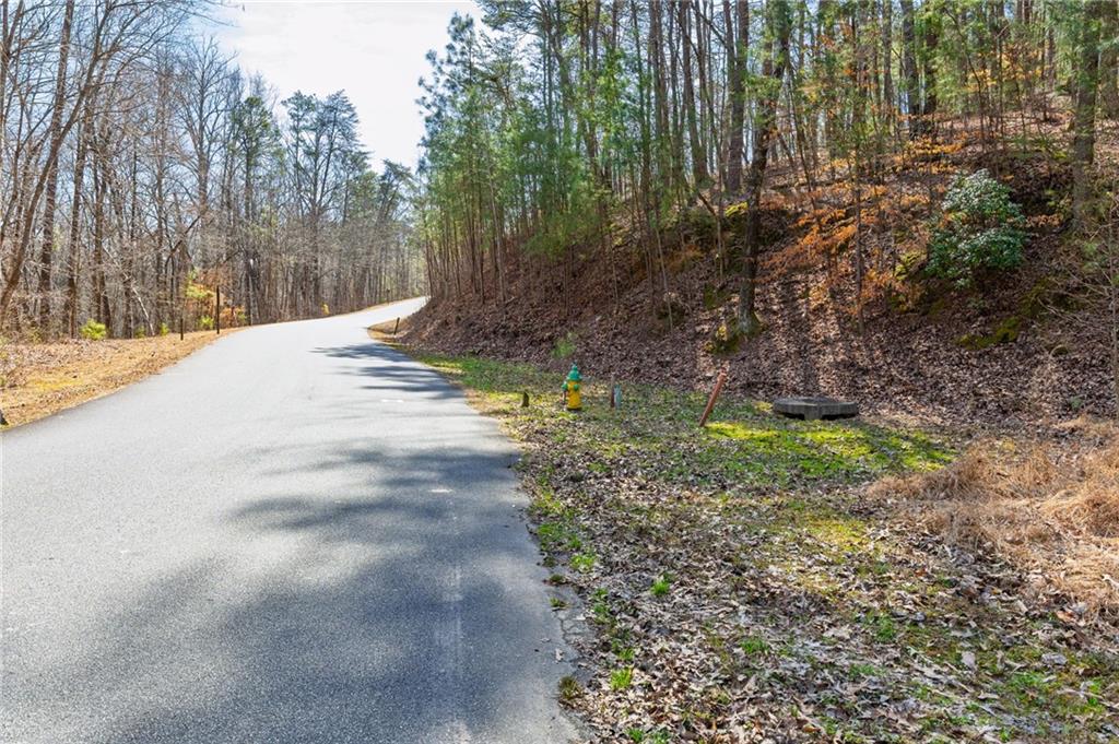 53 Somerset Lane Cartersville, GA 30121 - Photo 10 of 11