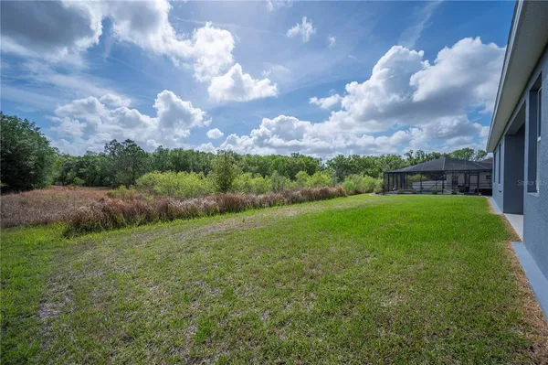 a view of a big yard with potted plants and big yard