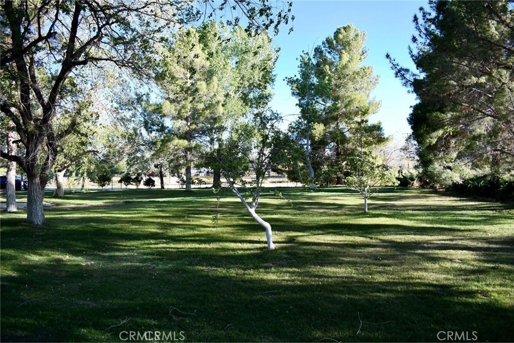 10831 Monte Vista Road Phelan, CA 92371 - Photo 4 of 13 a green field with trees in the background