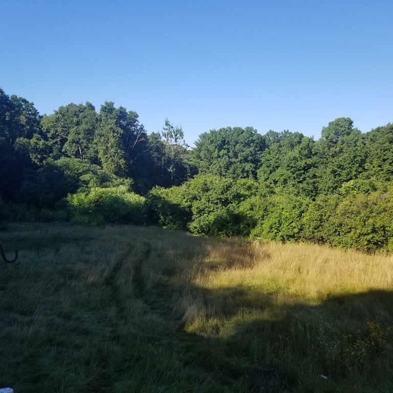 54 Town Farm Road Brookfield, MA 01506 - Photo 5 of 28