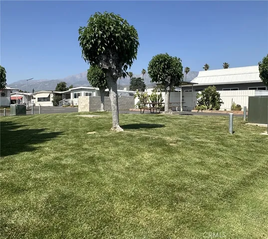 a view of a garden with an outdoor space