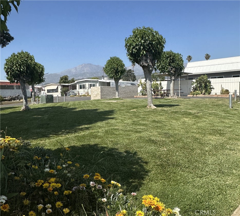 950 California Street, Unit 60 Calimesa, CA 92320 - Photo 26 of 26 a front view of a house with a garden