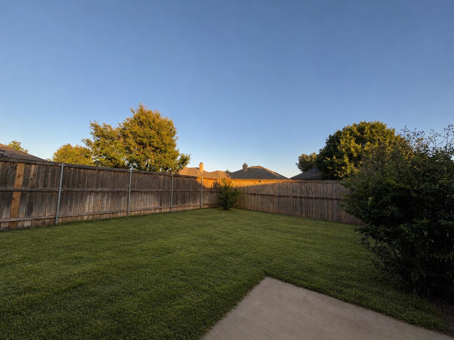 6207 75th Place Lubbock, TX 79424 - Photo 10 of 16 Backyard