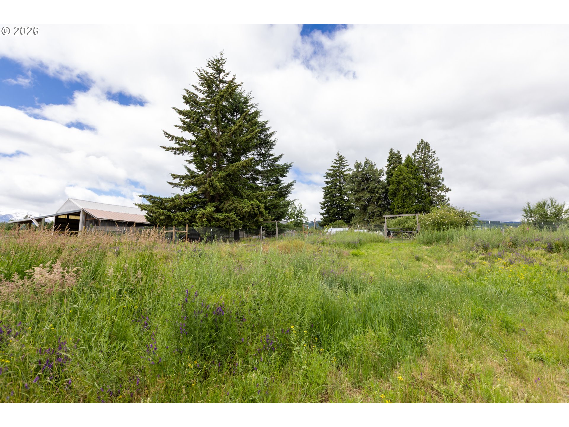 6455 Trout Creek Ridge Road Mount Hood Parkdale, OR 97041 - Photo 34 of 38